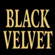 Black Velvet