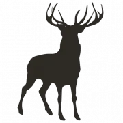 Cazadores