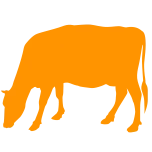 COINGA