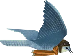 Cucielo