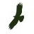 Eagle Creek