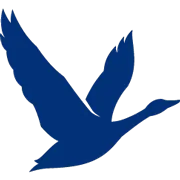 Grey Goose