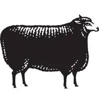 Le Grand Noir