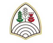 PASTA NATURA