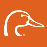 Whistling Duck