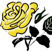 YELLOW ROSE