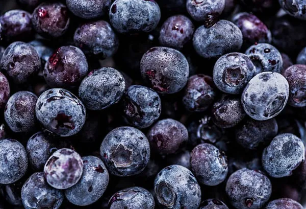 Frozen cultivated blueberries, 1 kg
