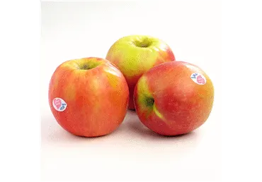 Āboli PINK LADY 75+ kg