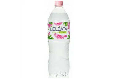 Avota ūdens LIELBĀTA negāzēts 500ml D