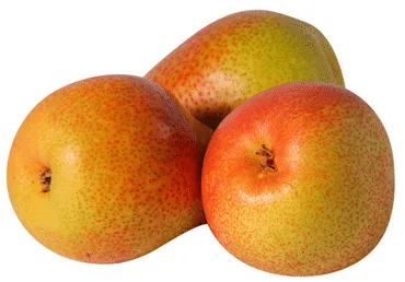 Bumbieri FORELLE kg