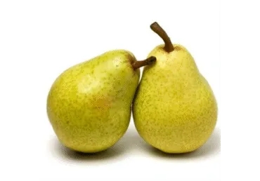 Bumbieri GUYOT kg