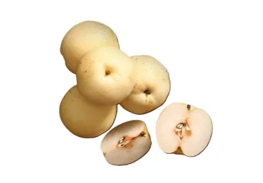 Bumbieri NASHI kg