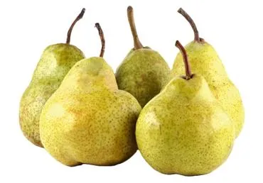 Bumbieri PACKHAM kg