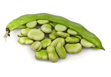 Cūku pupas kg