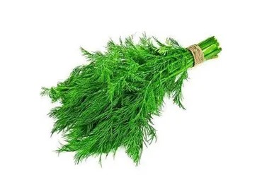 Dilles 100g
