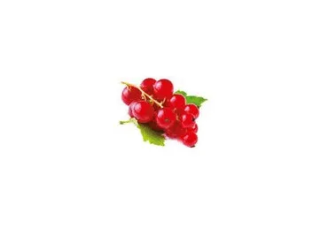 Jāņogas sarkanās  250g