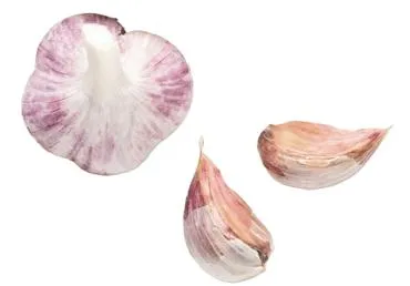 Ķiploki kg