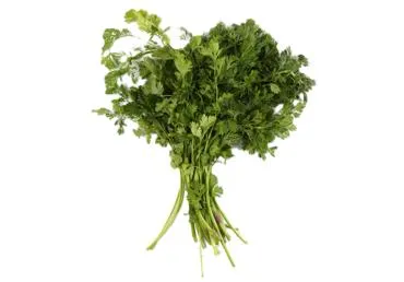 Koriandrs 100g