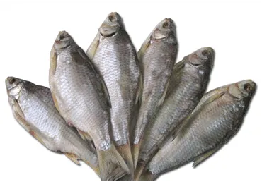Rauda vītināta kg