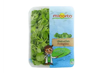 Salāti SONGINO VALERIANA 125g