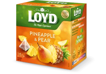Tēja LOYD ar ananasu-bumbieru garšu 20x2g