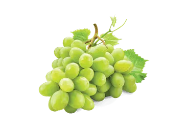 Vīnogas gaišās lielās kg