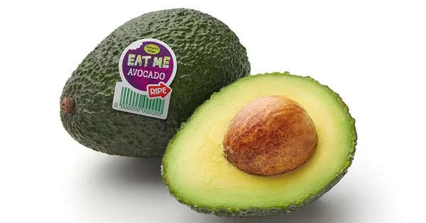Avokado fas. 2gab., Eat Me