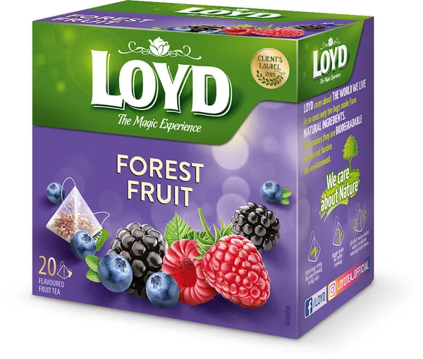 Tēja augļu ar meža ogu garšu pyramids 20x2g, Loyd