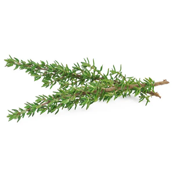Timiāns fas. 20g