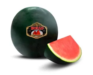Arbūzi Bollo, 1.šķ., kg