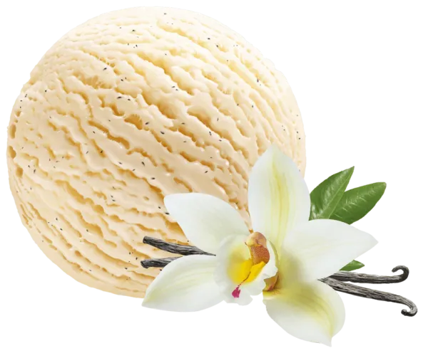 LACTOSE FREE vanilla ice cream BALBIINO, 5l/2,25kg