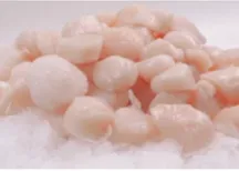 Frozen scallop meat, Japan, 10/20, glaze 20%, 800g/1kg