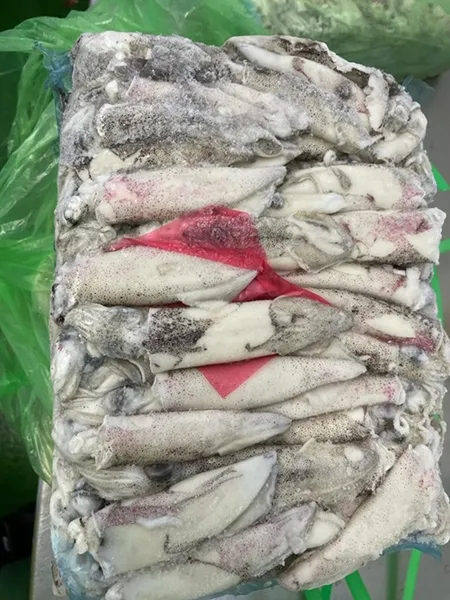 Frozen Patagonian squid, WOFCO, whole, uncleaned, C4 (8-10 cm), no glaze, ~5kg