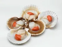 Scallops in shells (halves) with caviar, raw 20/30 750g / 1kg