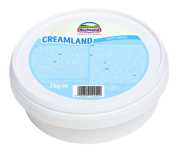 Cream cheese CREAMLAND, 22%, 2kg
