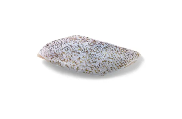 Red Snapper fillet, frozen, 170-230g, with skin, glaze 10%, 1kg