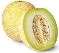 Melone "Galija", 5.kal. 2.šķ. kg