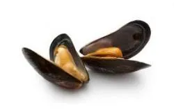 Mīdijas (ēdamgliemenes) veselas, čaulā, S/Extra (75-85gab/kg), vakuumā, 1kg