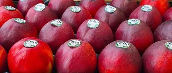 Nektarīni Premium 20.kal. 2.šķ., kg