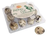 Paipalu olas, 12 gab, BALTICOVO