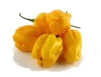 Pipari dzeltenie, asie HABANERO, 2.šķ., kg