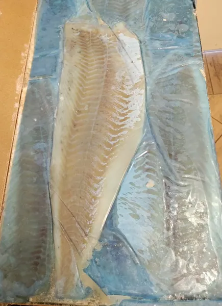 Saithe fillets, frozen, 224 - 448g, skinless, 6.8kg
