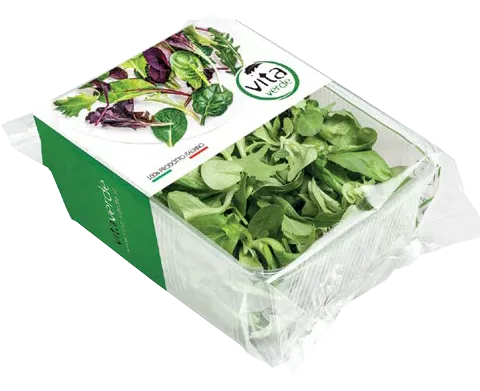 Salāti "Rucola / Valeriana",  2.šķ., 100g, gab