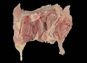 Frozen chicken drumsticks, boneless, skinless, category A, 15kg
