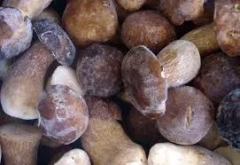 Frozen boletus, 1kg
