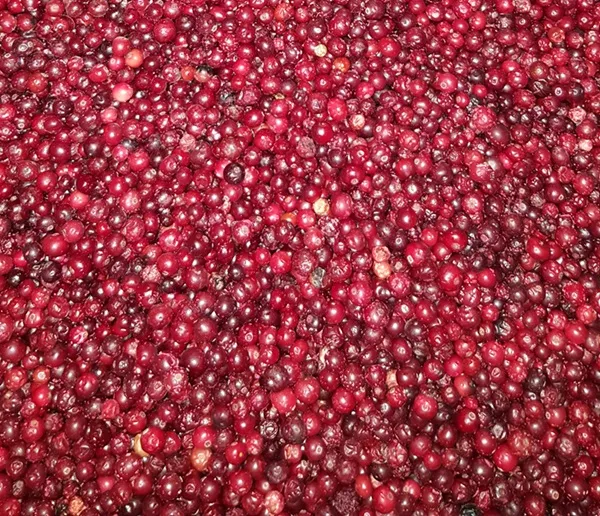 Frozen forest cranberries, 2.5kg IQF