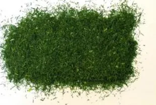 Frozen dill 1kg