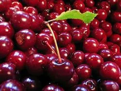 Frozen cherries, pitted, 2.5kg