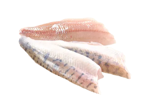 Zander fillet, skin on, 230-300, 20% glaze, 5 kg