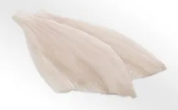 Zeltplekstes (butes) fileja, saldēta, bez ādas, 80-140g, ar pievienotu ūdeni, 30%, 5kg